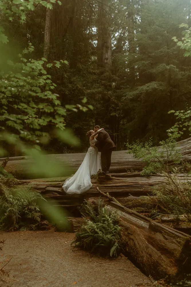 A moment among the ferns