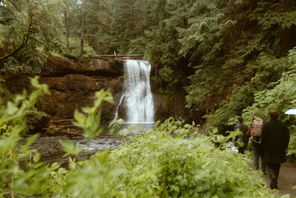 Approaching the waterfall through the forest