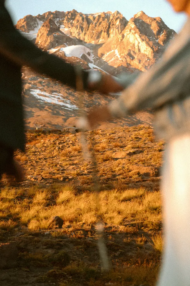 Mount Hood through a veil