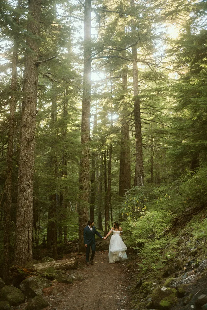 Walking beneath tall evergreen trees